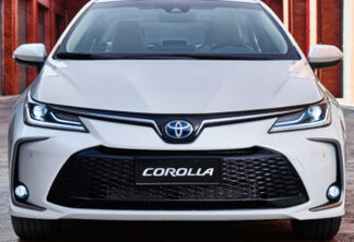Toyota Corolla 2024 [divulgação]