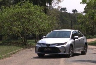 Toyota Corolla Hybrid (Auto+)