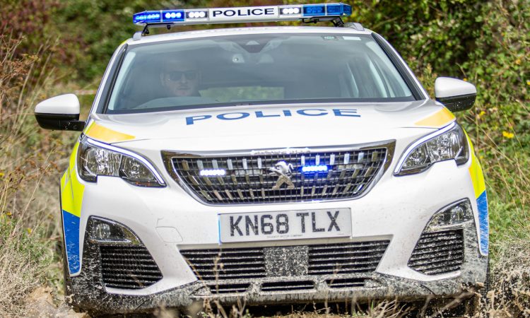 Peugeot 3008 Policial [divulgação]