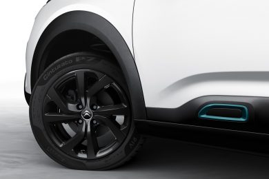 Citroën C4 Cactus Rip Curl [divulgação]