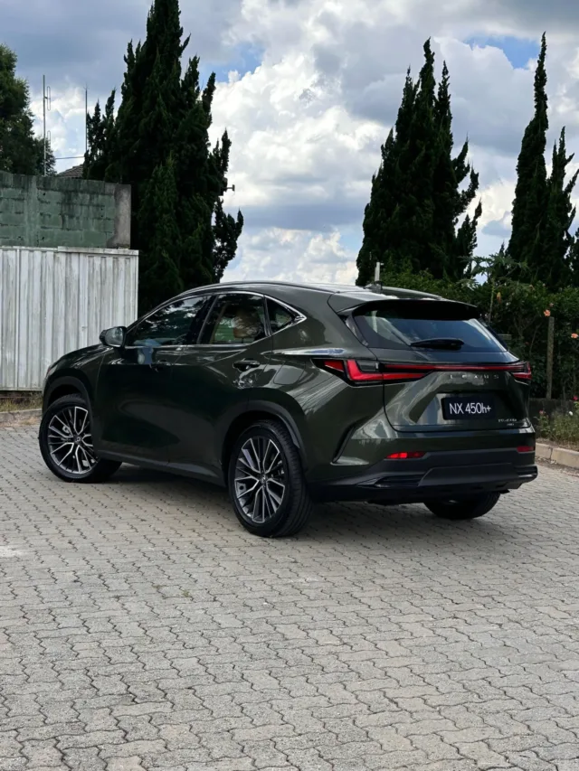 WhatsApp Image 2025-03-27 at 12.17.50