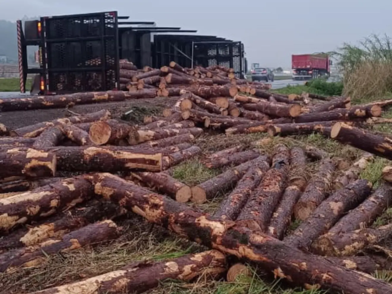 caminhão tombado e madeira espalhada