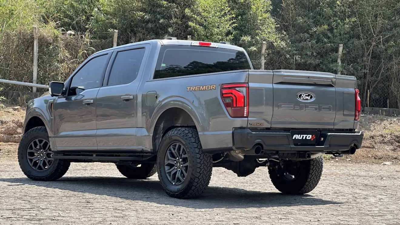 Ford F-150 Tremor cinza parada de traseira com árvores ao fundo