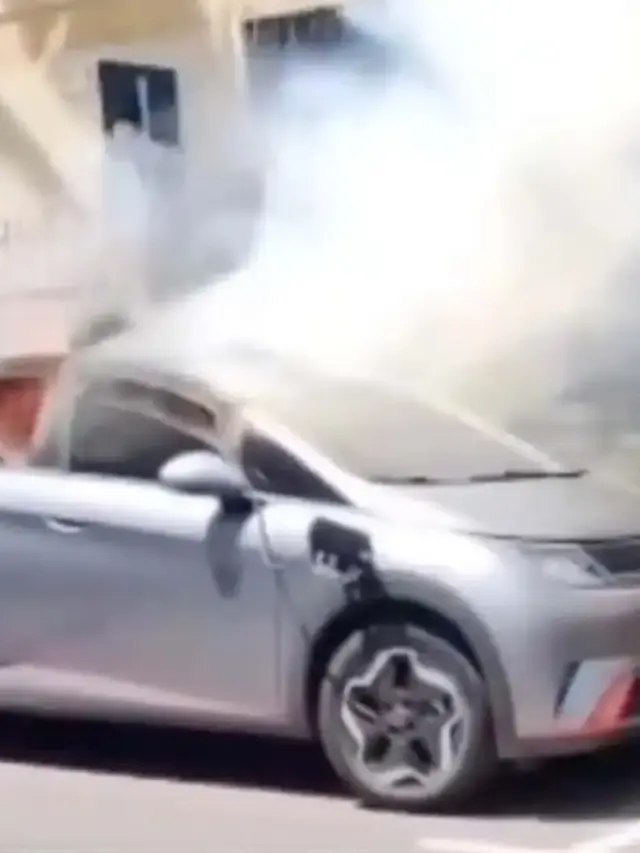 BYD Dolphin pegando fogo no Brasil
