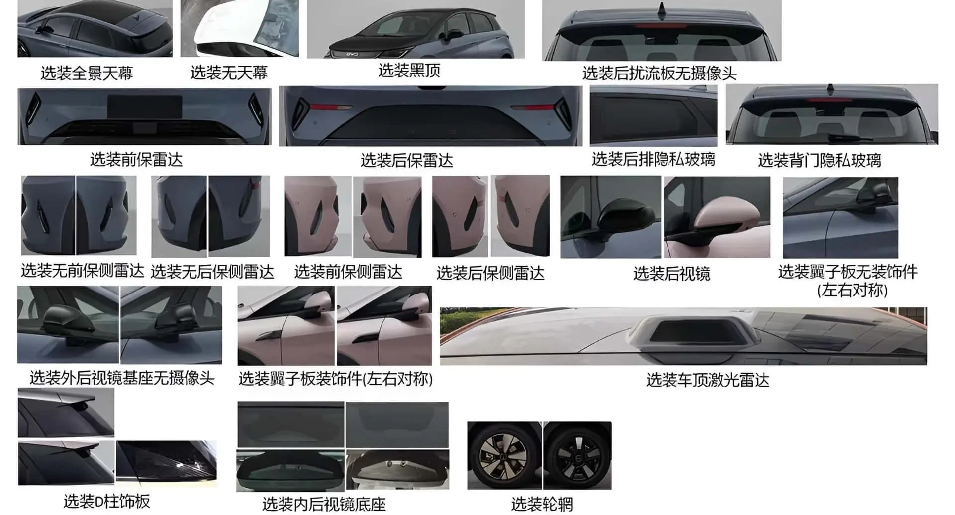 Detalhes do novo BYD Dolphin