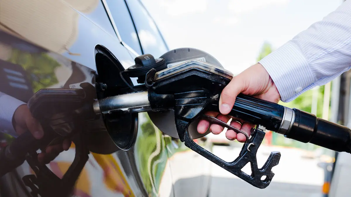 5 comportamentos que geram multas