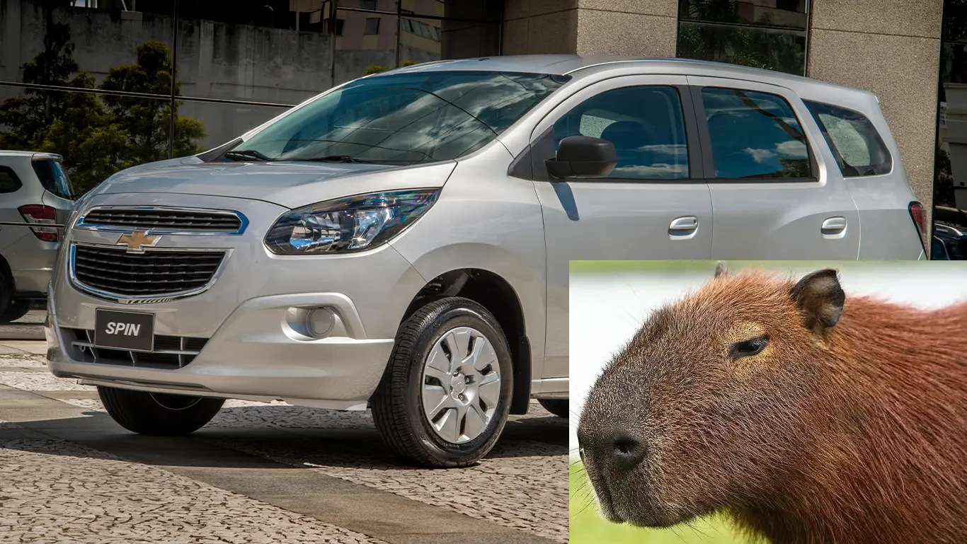 Chevrolet Spin e Capivara [divulgação]