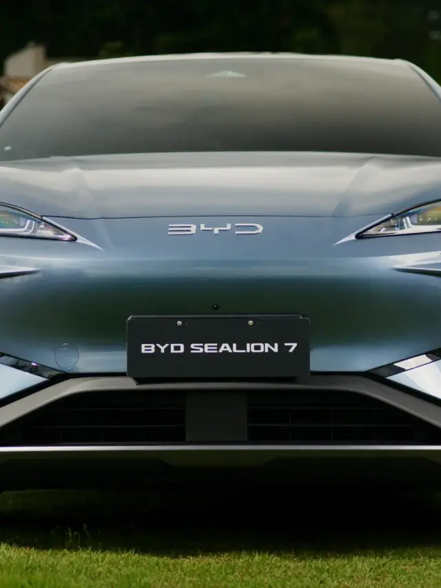 BYD SEALION 7 (3)