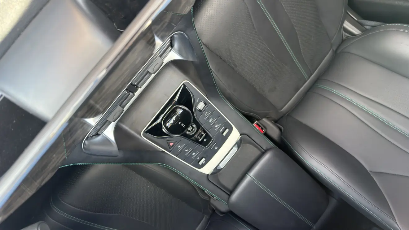 BYD Makointerior visto de cima flagra