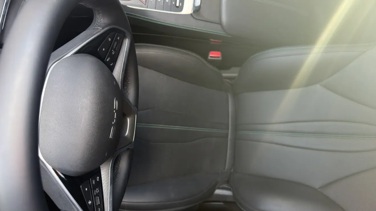 BYD Makointerior visto de cima flagra