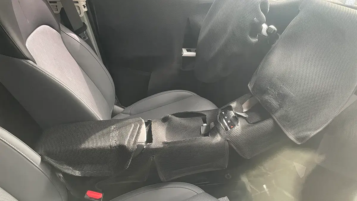 interior Flagra Geely EX1 [reprodução]