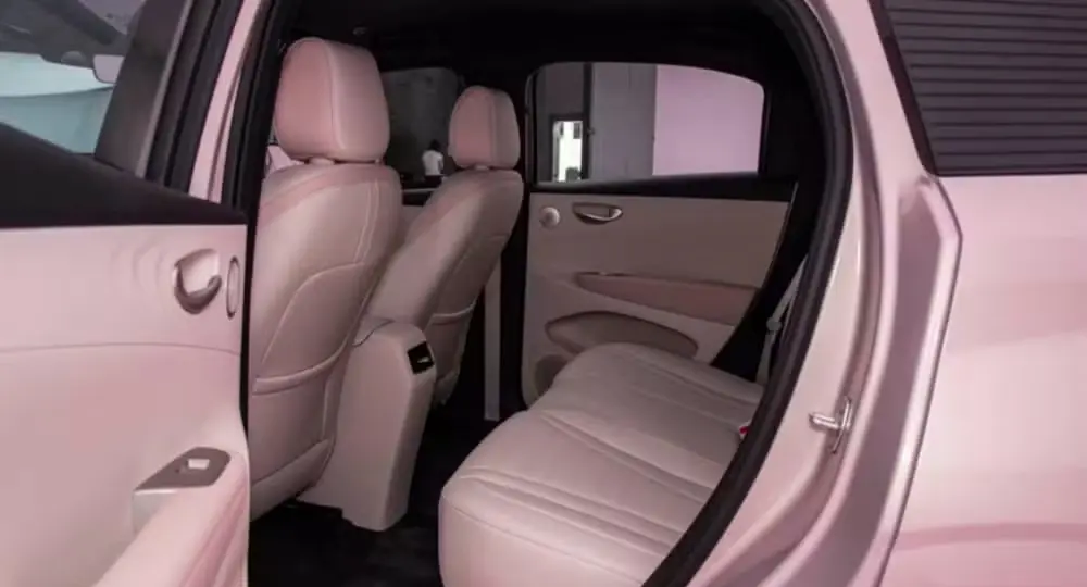 Espaço traseiro da segunda geração do BYD Dolphin Mini