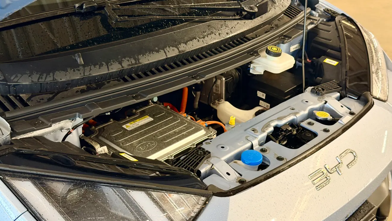 motor byd dolphin mini